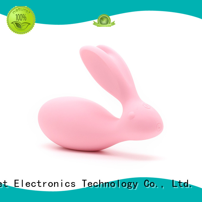 cute vibrator egg inquire now for wife