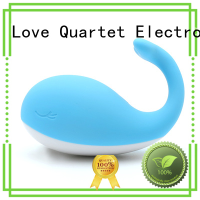 KISSTOY low-cost bluetooth egg vibrator buy now for women